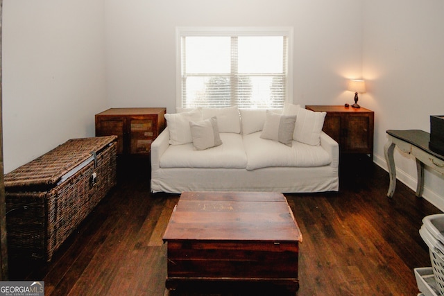 living room featuring dark wood-type flooring