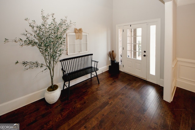 entryway featuring dark wood-type flooring