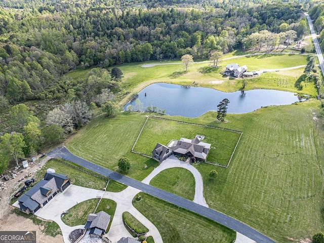 42 Lone Pine Dr, Morganton, GA 30560 - aerial view of property's location featuring a large body of water and a forest