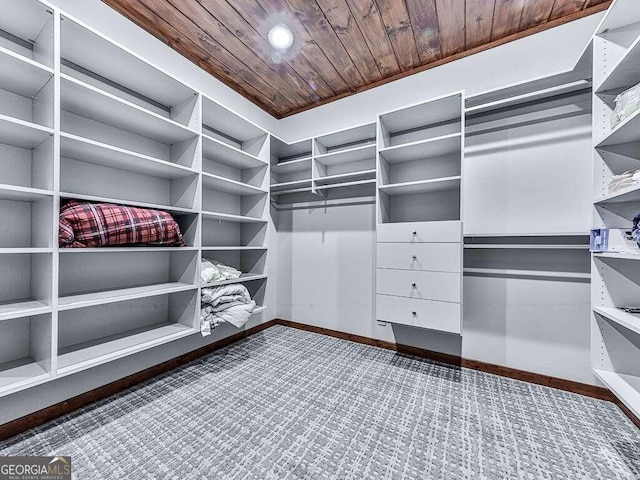 42 Lone Pine Dr, Morganton, GA 30560 - spacious closet featuring carpet flooring