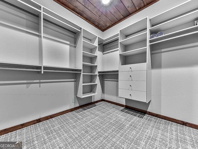 42 Lone Pine Dr, Morganton, GA 30560 - walk in closet with carpet
