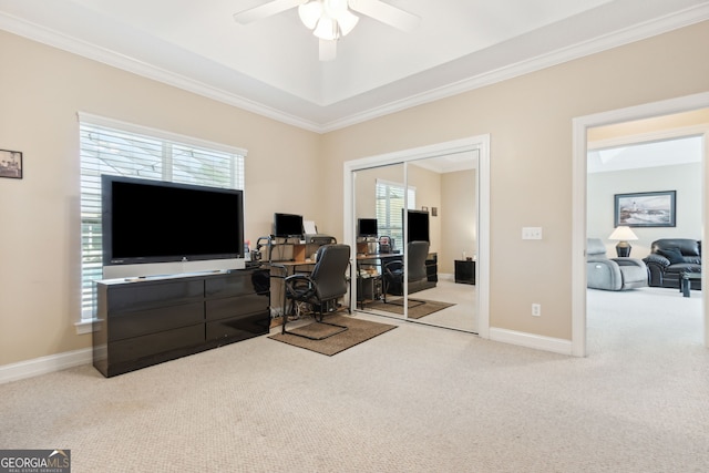 office featuring ceiling fan, ornamental molding, and carpet