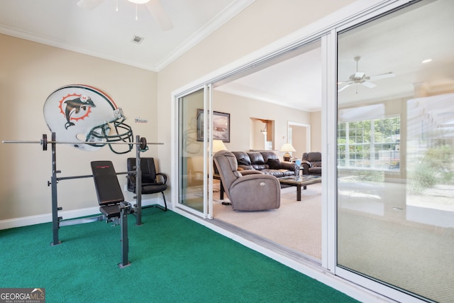 exercise area featuring ceiling fan, ornamental molding, and carpet floors