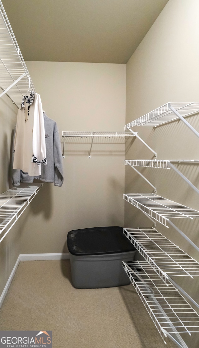 spacious closet with carpet floors