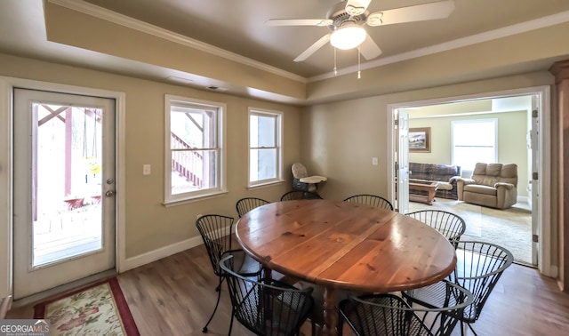 dining space with ceiling fan, ornamental molding, and light hardwood / wood-style flooring