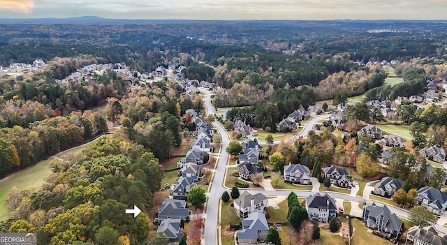 bird's eye view