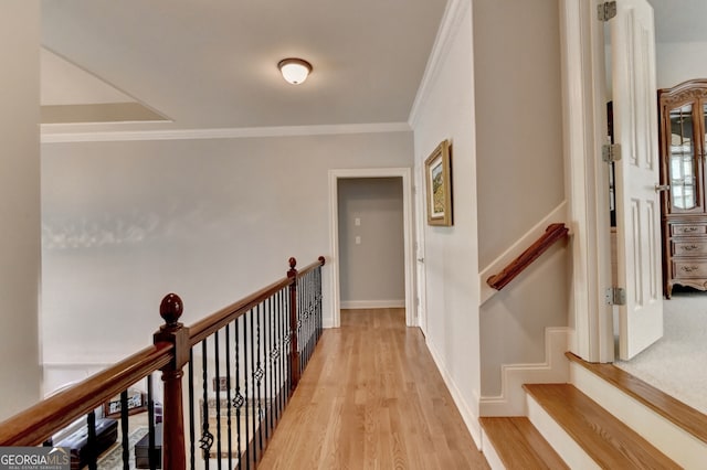 hallway featuring light hardwood / wood-style flooring and crown molding