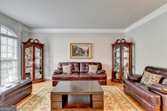 living room with ornamental molding and light hardwood / wood-style flooring