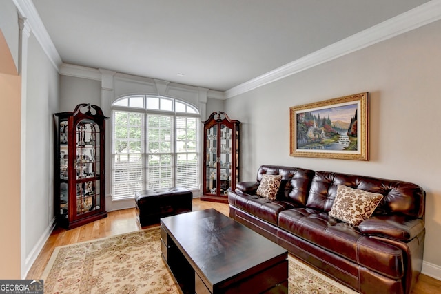 living room with light hardwood / wood-style floors and crown molding