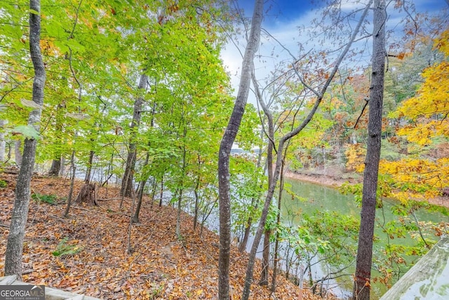 view of local wilderness featuring a water view