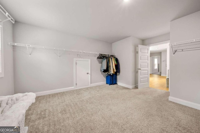 walk in closet with carpet