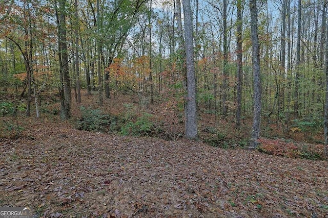 view of landscape featuring a forest view