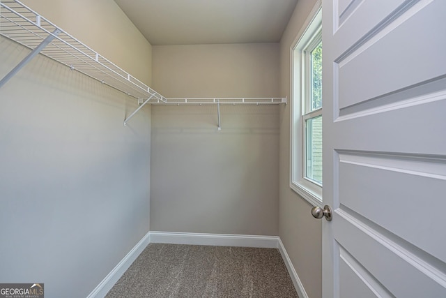 spacious closet featuring carpet floors