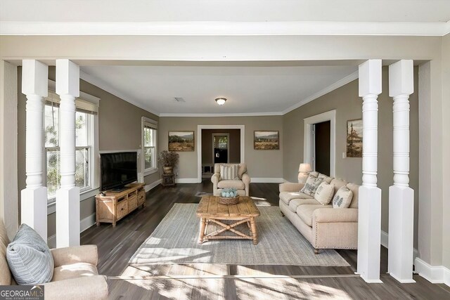 living room with ornamental molding and dark hardwood / wood-style flooring