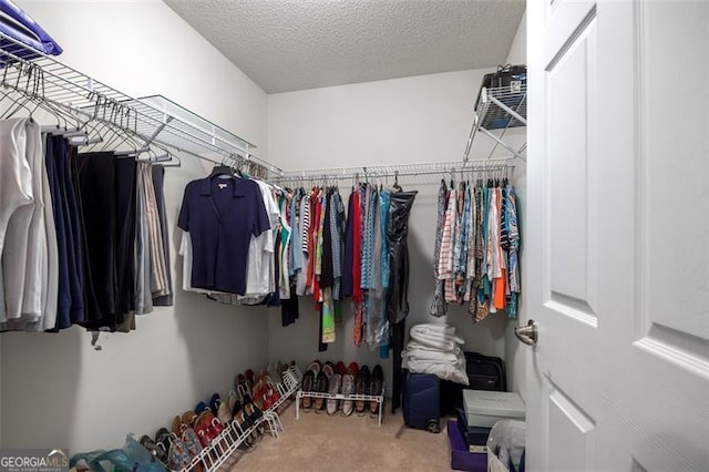 walk in closet with carpet floors