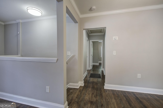 corridor with dark wood-type flooring and ornamental molding