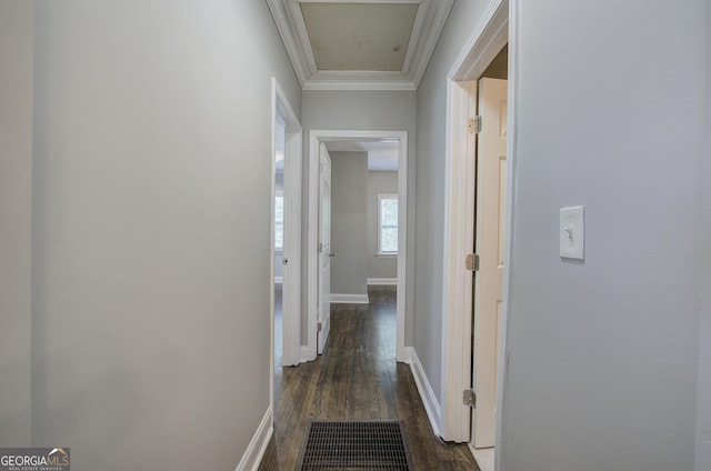 corridor featuring ornamental molding and dark wood-type flooring