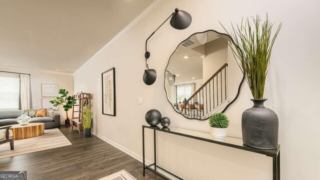 room details featuring wood-type flooring and crown molding