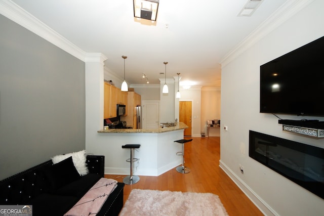 living room with ornamental molding and light hardwood / wood-style flooring