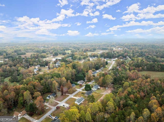 bird's eye view