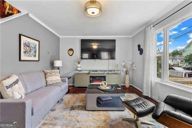 living room featuring ornamental molding and hardwood / wood-style flooring