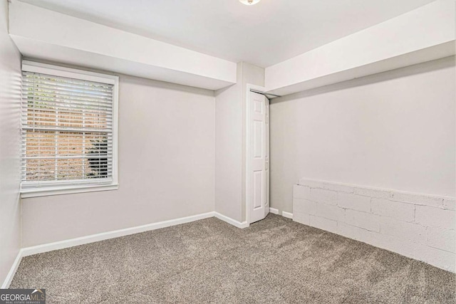 basement featuring carpet flooring