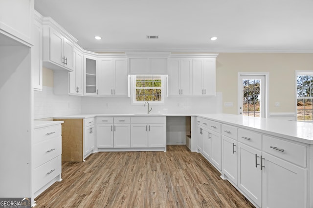 carpeted empty room with ornamental molding, a wealth of natural light, and a raised ceiling