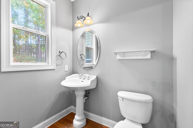 bathroom with wood-type flooring and toilet