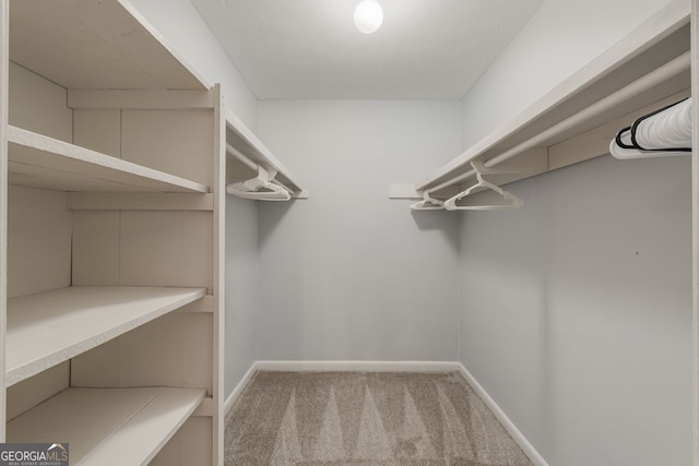 spacious closet featuring carpet