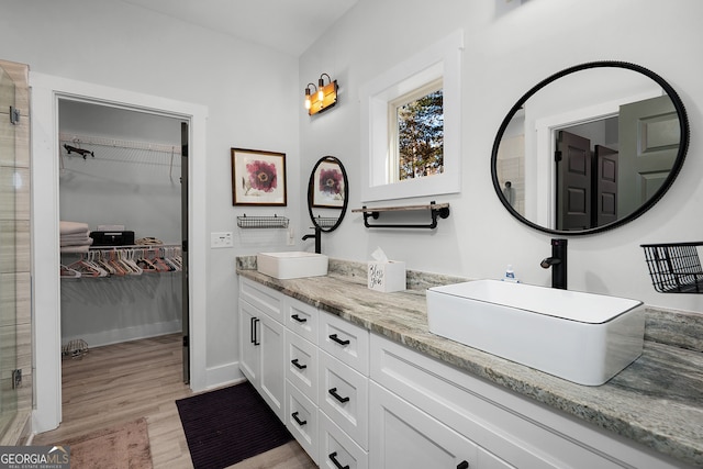 bathroom with wood-type flooring and vanity