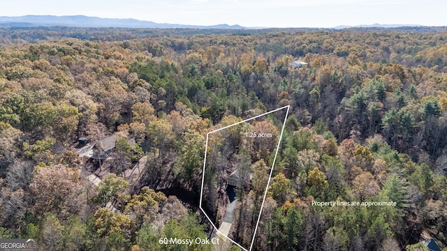 drone / aerial view featuring a mountain view