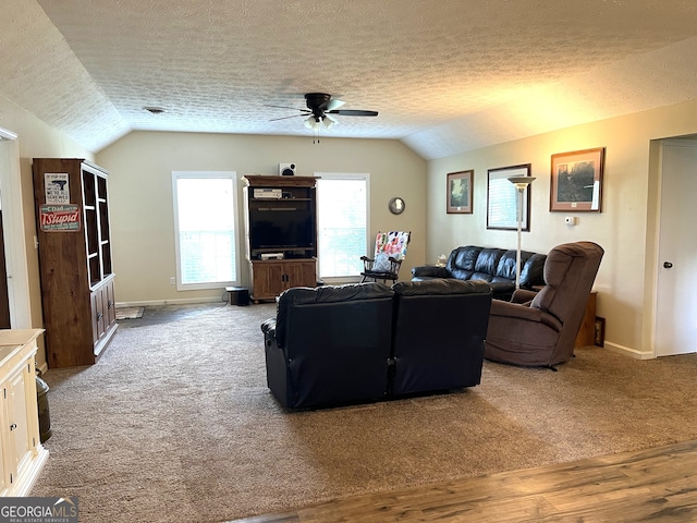 living room featuring lofted ceiling, wood-type flooring, and a textured ceiling