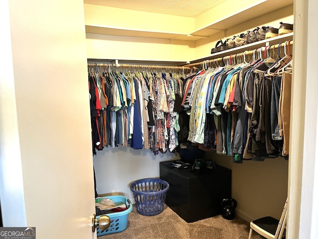 spacious closet with carpet