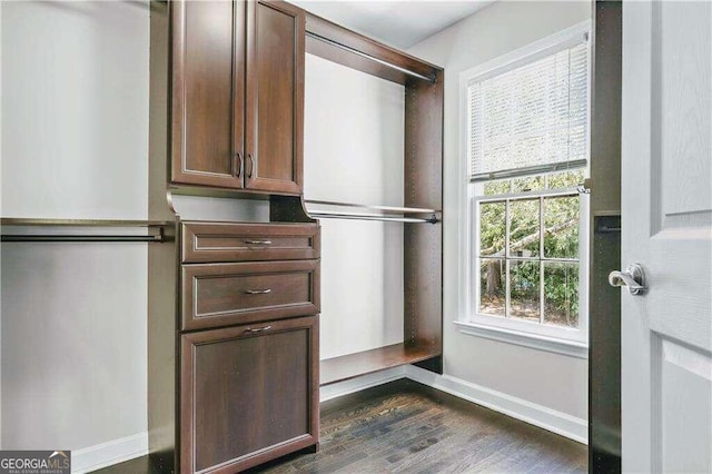 spacious closet featuring dark hardwood / wood-style floors