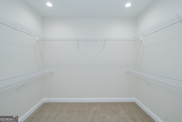 spacious closet featuring carpet