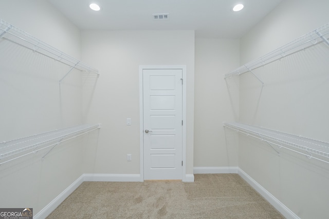 spacious closet with carpet