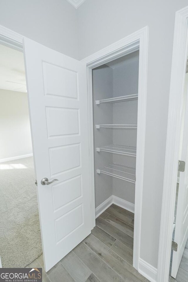 184 The Villas Way, Kingsland, GA 31548 - view of closet