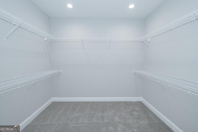 184 The Villas Way, Kingsland, GA 31548 - walk in closet featuring carpet