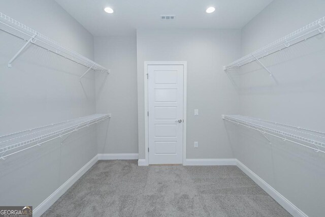 184 The Villas Way, Kingsland, GA 31548 - walk in closet featuring carpet flooring