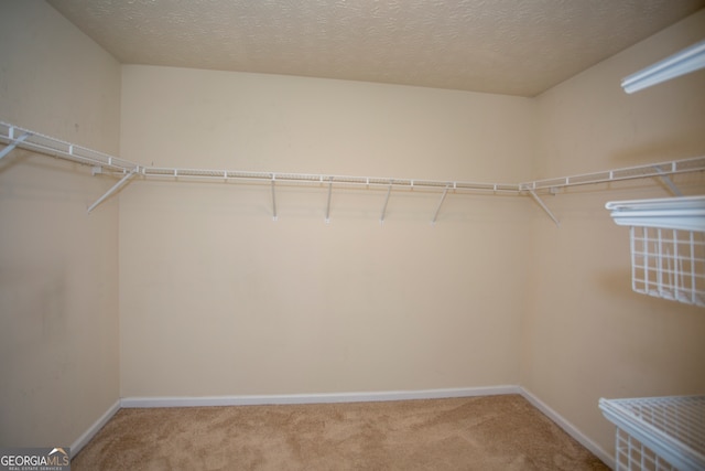 spacious closet featuring carpet floors