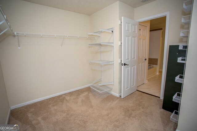 spacious closet featuring light carpet