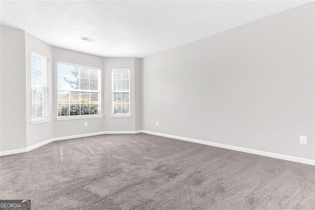 spare room with carpet and a textured ceiling