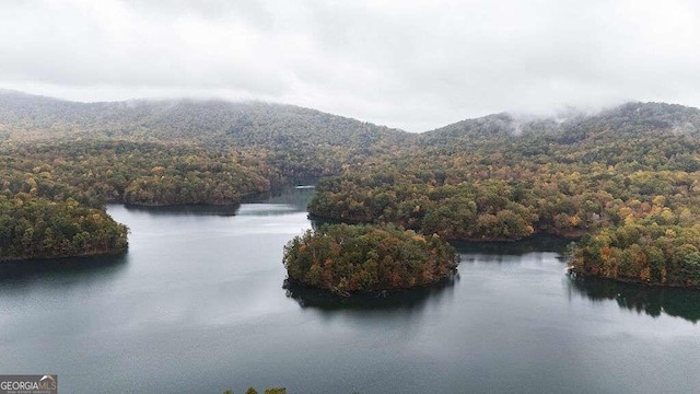 property view of water with a mountain view