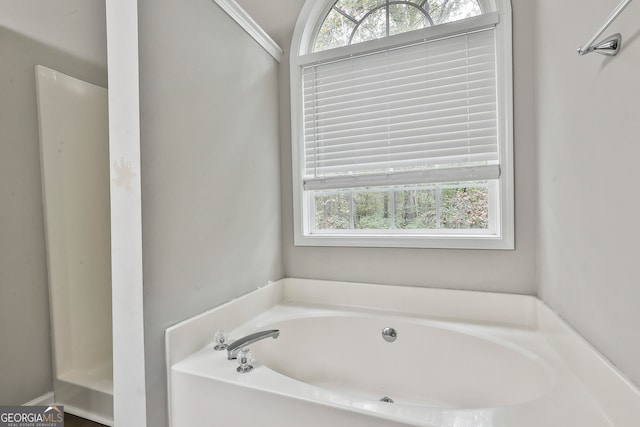 bathroom featuring a bathing tub