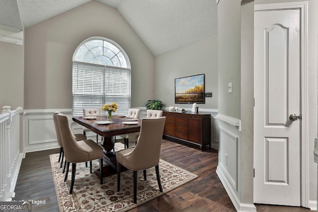 dining room with vaulted ceiling, a textured ceiling, and dark hardwood / wood-style flooring