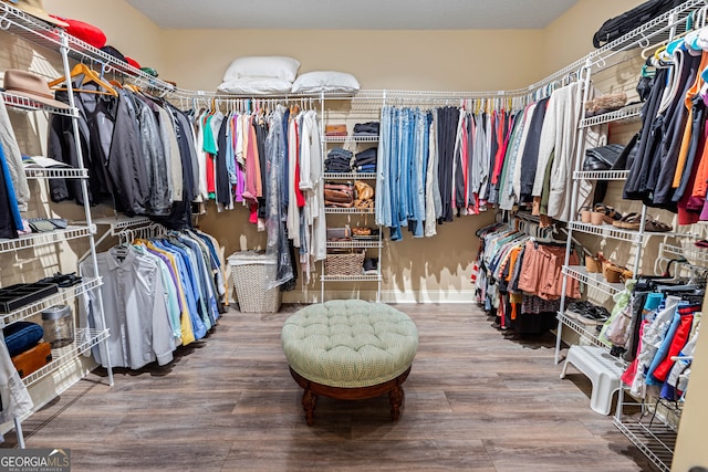 spacious closet with hardwood / wood-style floors