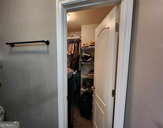 view of walk in closet