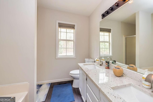 bathroom featuring hardwood / wood-style floors, vanity, a shower with door, and plenty of natural light