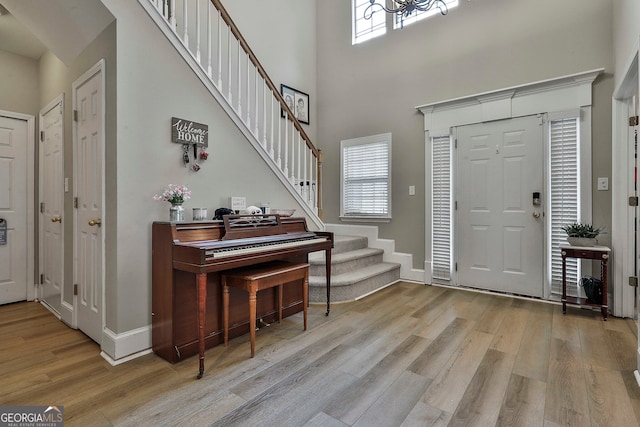 entrance foyer featuring a high ceiling and light wood-type flooring