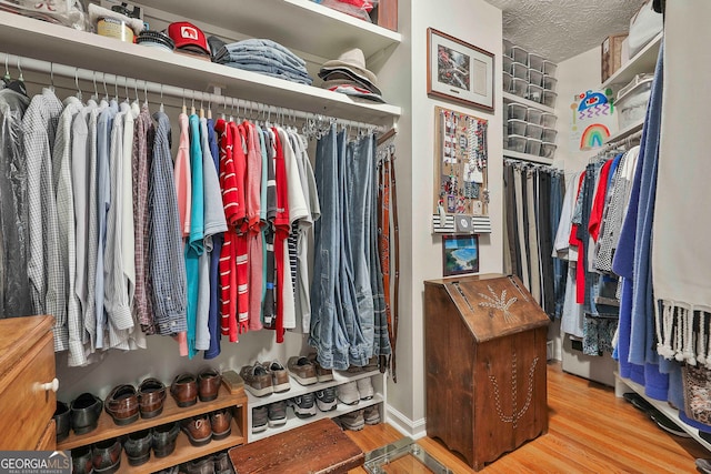 walk in closet featuring wood-type flooring